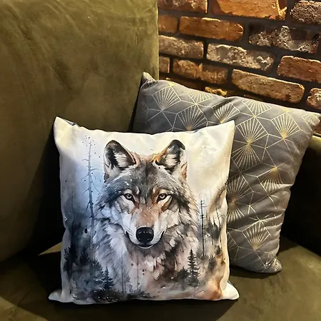 아파트 Szary Wilk - Klimatyczne Dla 2 Osob - Blisko Centrum -bezplatny Parking 자코파네