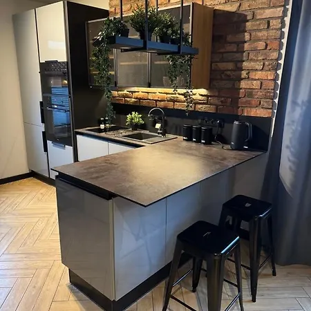 아파트 Szary Wilk - Klimatyczne Dla 2 Osob - Blisko Centrum -bezplatny Parking