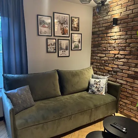 Szary Wilk - Klimatyczne Dla 2 Osob - Blisko Centrum -bezplatny Parking 자코파네