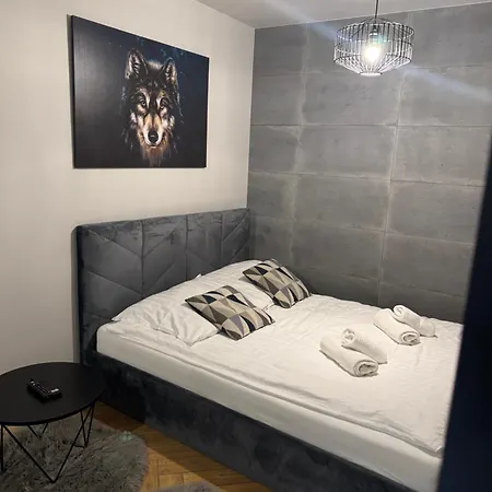 Szary Wilk - Klimatyczne Dla 2 Osob - Blisko Centrum -bezplatny Parking 자코파네