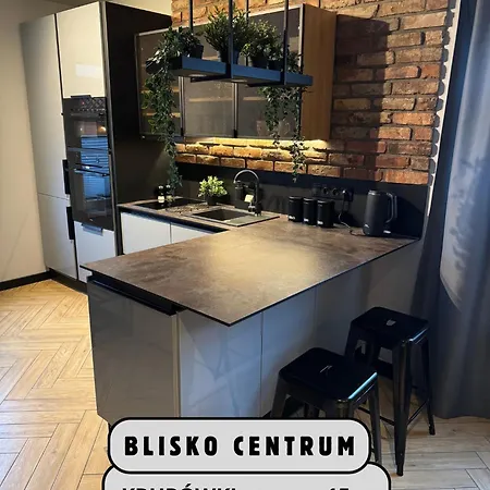 Szary Wilk - Klimatyczne Typu Dla 2 Osob - Blisko Centrum -bezplatny Parking *