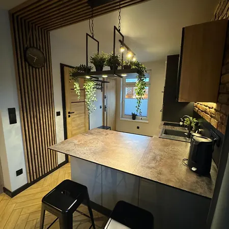Apartment Szary Wilk - Klimatyczne Typu Dla 2 Osob - Blisko Centrum -bezplatny Parking *