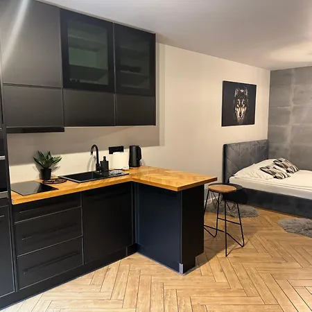 Apartman Szary Wilk - Klimatyczne Dla 2 Osob - Blisko Centrum -bezplatny Parking