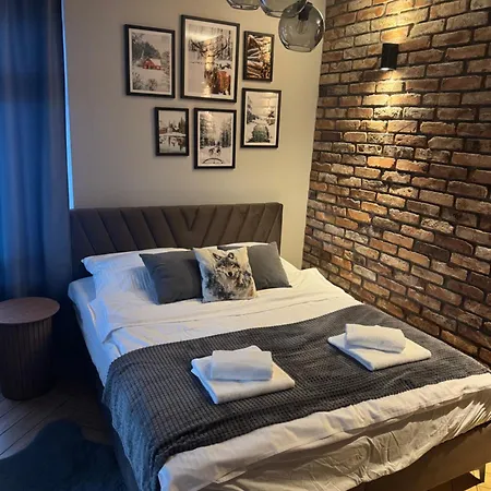 Apartment Szary Wilk - Klimatyczne Typu Dla 2 Osob - Blisko Centrum -bezplatny Parking *