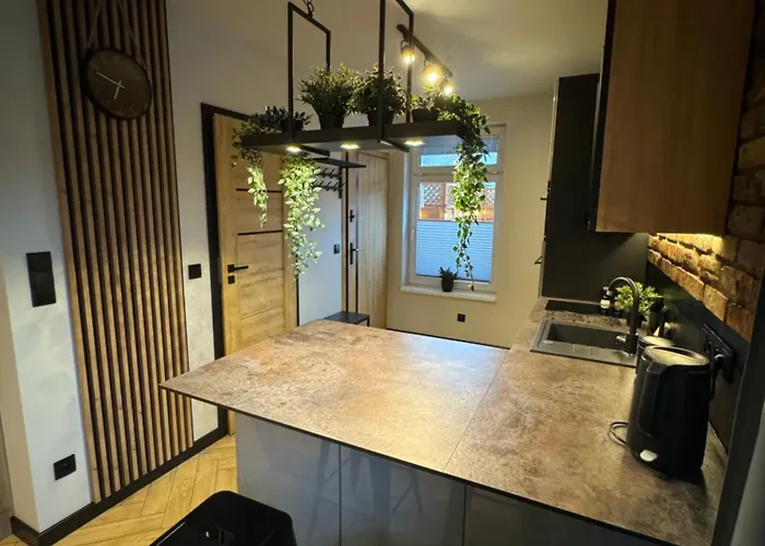 Appartement Szary Wilk - Klimatyczne Typu Dla 2 Osob - Blisko Centrum -bezplatny Parking *